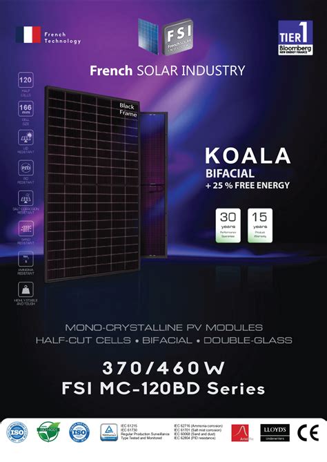 french solar industry